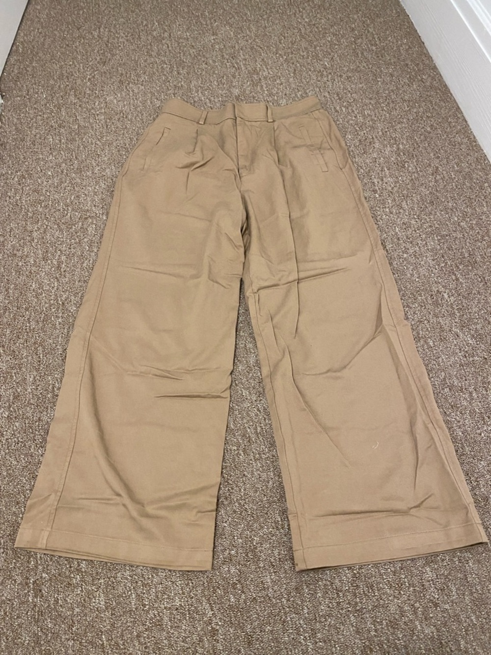 Everlane Wide Leg Trousers in Khaki Tan